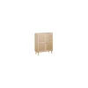 Armario 2 puertas abatibles Decor acabado pino/rattan, 110cm(alto) 80cm(ancho) 40cm(fondo)
