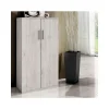 Armario zapatero 2 puertas Ariadna en color ártico. 60cm(ancho) 120cm(altura) 33cm(fondo)