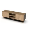 Mesa television Oslo 2 puertas y 2 huecos en acabado color roble gold, 50 cm(alto)160 cm(ancho)40 cm(largo)