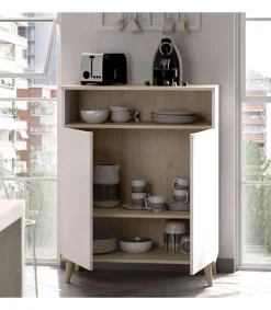 Mueble auxiliar Villarodrigo 2 puertas y 1 hueco 102cm(alto)80cm(ancho)40 cm(largo)