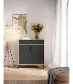 Mueble auxiliar/zapatero Md-507, 2 puertas 1 cajón en roble claro/grafito, 89cm(alto) 80cm(ancho) 29cm(prof.)
