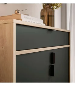 Mueble auxiliar/zapatero Md-507, 2 puertas 1 cajón en roble claro/grafito, 89cm(alto) 80cm(ancho) 29cm(prof.)