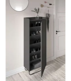 Recibidor zapatero 1 puerta Modelo 525 acabado grafito. 133cm(alto) 50cm(ancho) 28cm(fondo).